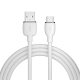 AVAX CB621 CREAMY+ USB A-Type C 2.4A, 1,5m fehér-ezüst gyorstöltő kábel