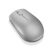 LENOVO 530 Wireless Mouse (Platinum Grey)