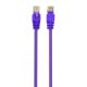 Gembird CAT5e U-UTP Patch Cable 0,5m Purple