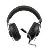 Ewent PL3321 RGB Gaming Headset Black