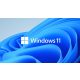 Microsoft Windows 11 Pro 64bit HUN DVD