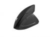 Spire Archer Ice Wireless Ergonomic mouse Black