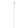 Apple USB-C - Lightning Cable 1m White