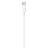 Apple USB-C - Lightning Cable 1m White