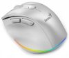 Genius Ergo 9000S Pro Wireless mouse Pearl White