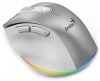 Genius Ergo 9000S Pro Wireless mouse Silver