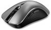 Genius Ergo 8100S AI Wireless Mouse Silver Grey