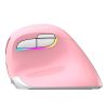 Wireless Vertical Mouse Delux M618Mini DB BT+2.4G 2400DPI (pink)