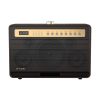 Wireless Bluetooth Speaker W-KING K6L 120W + 2 microphones (brown)