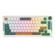 Wireless mechanical keyboard Royal Kludge RKH81 RGB, Sky cyan switch (green)