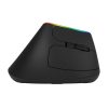 Vezeték nélküli függőleges egér Delux M618C 2.4G 1600DPI RGB (fekete)