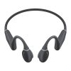 Earphones QCY T25 (dark grey)