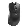 Wireless Gaming Mouse Darmoshark N3 (black)