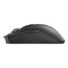 Wireless Gaming Mouse Darmoshark N3 (black)