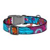 Nylon dog collar with QR code Waudog "Summer" size S