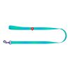 WAUDOG gradient nylon dog leash, 20 mm wide, 122 cm long blue