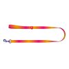 WAUDOG gradient nylon dog leash, 15mm wide, 122cm long, orange